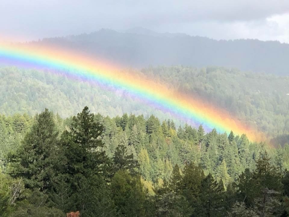 PillowHosts managed property in Santa Cruz County